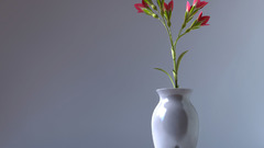 Flowers vase