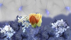 Flowers web poem Photo manipulation artwork lotus flower 