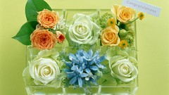 Flowers white award Gifts reward wrapping present Trophy PRIZE 