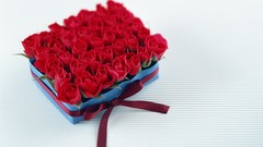 Flowers white award Gifts reward wrapping present Trophy PRIZE 