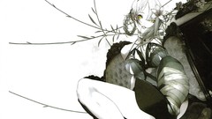 Flowers woman chairs Plants white background white hair sitting 