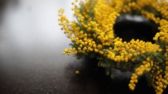 Flowers wreath yellow flowers