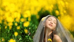 Flowers yellow asians