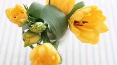 Flowers yellow flowers hot tub