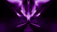 Flowerwings itt that aren