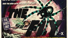 Fly spiders retro spider webs movie posters horror movies