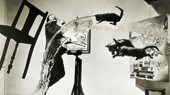 Flying cat paintings The