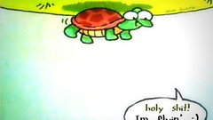 Flying turtles flying turtle ucuyorum