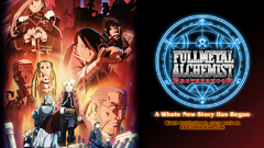 Fmab fma brotherhood how