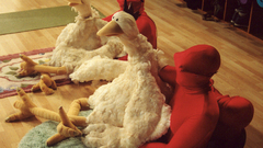 Fofayoga2 My point exactly