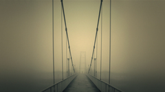 Fog Bridges