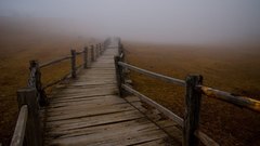 Fog mist wooden bridge