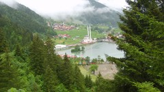 Fog nature Green Turkey lakes mosques uzungöl