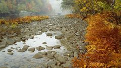 Fog river autumn simple fall rocks