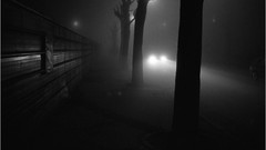 Fog Trees France cars Photographers cityscapes artwork Nocturne 