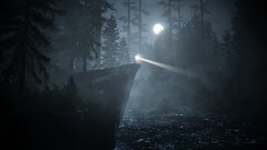 Fog Trees night water dark moon light weapons Guns game Plants 