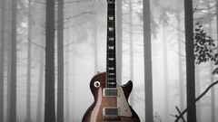Fog Wood guitars forests Gibson Les Paul