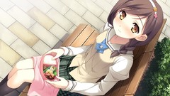 Food Anime blush long hair brown eyes seifuku your diary 