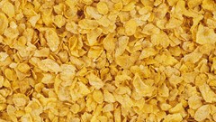 Food corn Breakfast colors cereal crunchy