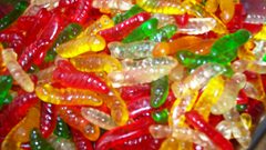 Food gummy worms