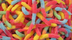 Food gummy worms