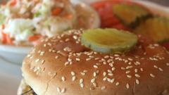 Food hamburgers hamburger coleslaw