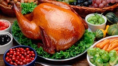 Food meat fruits Turkey bird