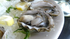 Food oysters Food and