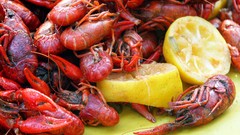 Food shrimp lemons seafood crustacean