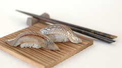 Food sushi tray high