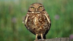 For bad are threads always remember