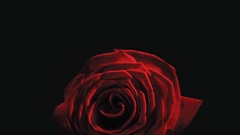 For day what Vendetta remind