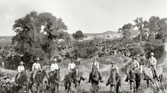 For Horses Texas Cowboys asked somebody