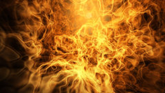 For just looking Got Monitors dual hey cfd