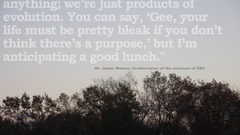 For lunch high sum heres Resolution