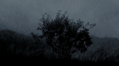 For Midnight Now all and will that check