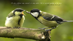 For sweet but This sorry kinda soppy diabetus