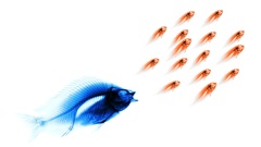 For The and shirt third This took flish