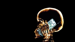 For two these xraycel