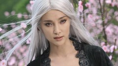 Forbidden kingdom Li Bing Bing