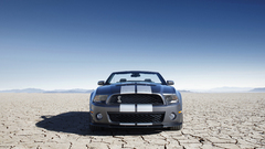 Ford mustang Ford Shelby