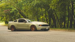 Ford mustang muscle cars lowrider Car vehicle Trees Ford