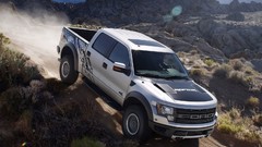 Ford raptor svt
