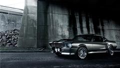 Ford Shelby ford mustang