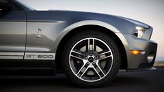 Ford Shelby ford mustang