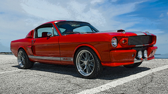 Ford Shelby ford mustang