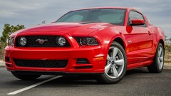 Ford Shelby Ford mustang american car shelby gt500 muscle cars 