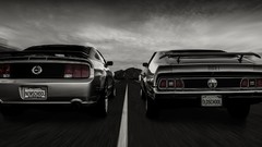Ford Shelby Ford mustang american car shelby gt500 muscle cars 