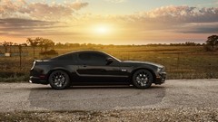 Ford Shelby Ford mustang american car shelby gt500 muscle cars 