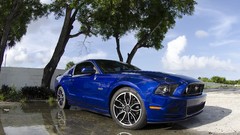 Ford Shelby Ford mustang american car shelby gt500 muscle cars 